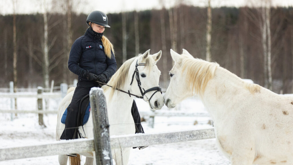 Linda Lampinen hevosten kanssa