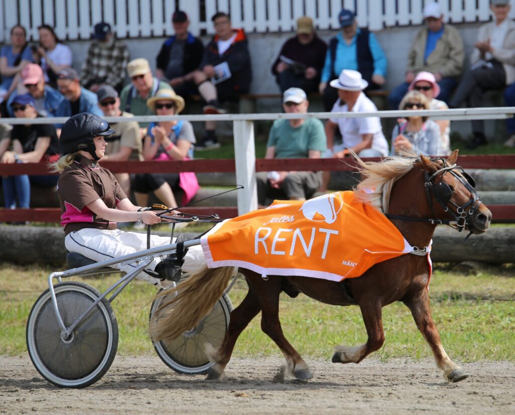 Poniravit, nuori nainen ohjastamassa ponia.