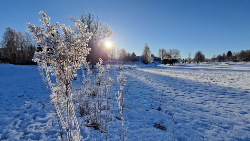 Keväinen maisema, aurinko paistaa.