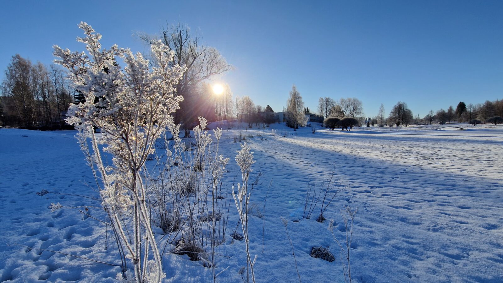 Keväinen maisema, aurinko paistaa.