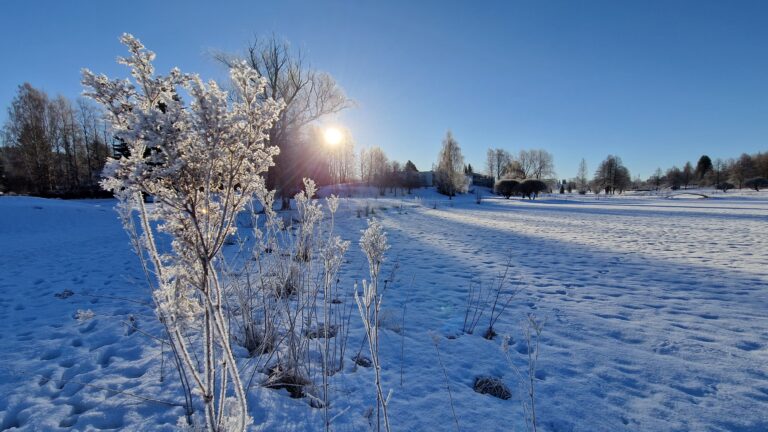 Keväinen maisema, aurinko paistaa.