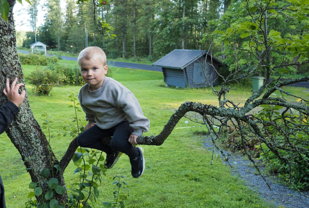 Lapsi istumassa puun oksalla.