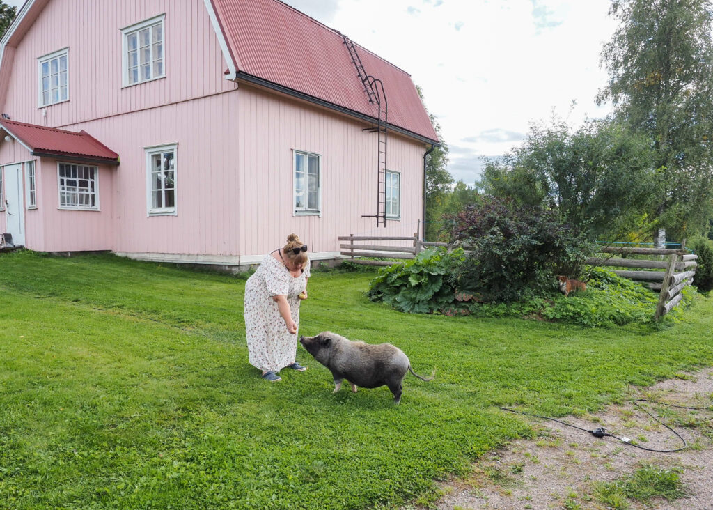 Pihalla, taustalla iso talo, sen edessä ihminen ja minipossu.